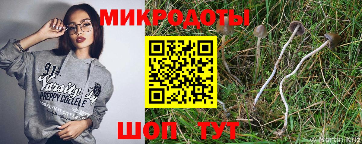 Галлюциногенные грибы ЛСД  Вход с VPN  Кыштым  Галлюциногенные грибы GOLDEN TEACHER 